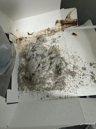 รีวิวพลีชีพ! ดูดไรฝุ่นโซฟาที่บ้านใน เกาะสมุย เจอฝุ่นสยองกว่าที่คิด พร้อมวิธีดูแลบ้านให้ห่างไกลภูมิแพ้