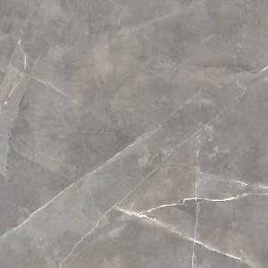 Floor & Wall Tilesกระเบื้องปูพื้น และผนัง WDC รุ่น MONALISA - รูปที่ 4