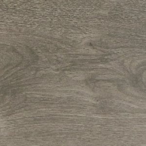LAMINATE TARO ROOT - รูปที่ 2