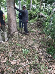 ให้บริการ งานตัดหญ้า เคลียริ่ง พื้นที่ในเกาะสมุย โดยบริษัท CHK - รูปที่ 5