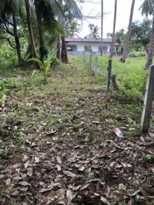 ให้บริการ งานตัดหญ้า เคลียริ่ง พื้นที่ในเกาะสมุย โดยบริษัท CHK - รูปที่ 6