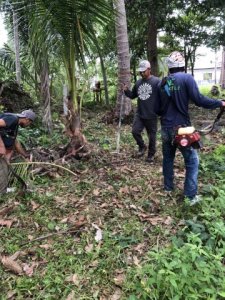 ให้บริการ งานตัดหญ้า เคลียริ่ง พื้นที่ในเกาะสมุย โดยบริษัท CHK - รูปที่ 4