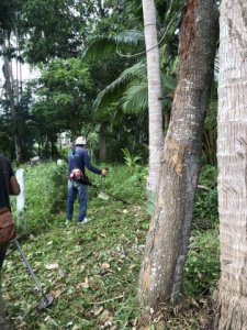 ให้บริการ งานตัดหญ้า เคลียริ่ง พื้นที่ในเกาะสมุย โดยบริษัท CHK - รูปที่ 2