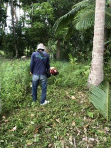 ให้บริการ งานตัดหญ้า เคลียริ่ง พื้นที่ในเกาะสมุย โดยบริษัท CHK - รูปที่ 1