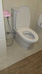 Toilet Installation Service and Clogging Solutions on Koh Samui - รูปที่ 8